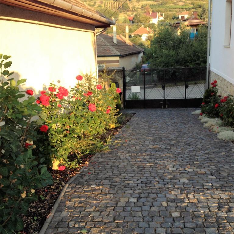 Uragya Vendeghaz Hotell Mád Exteriör bild